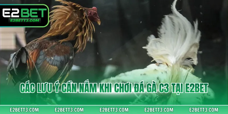 Luật chơi chọi gà C3 khá đơn giản và dễ nắm bắt