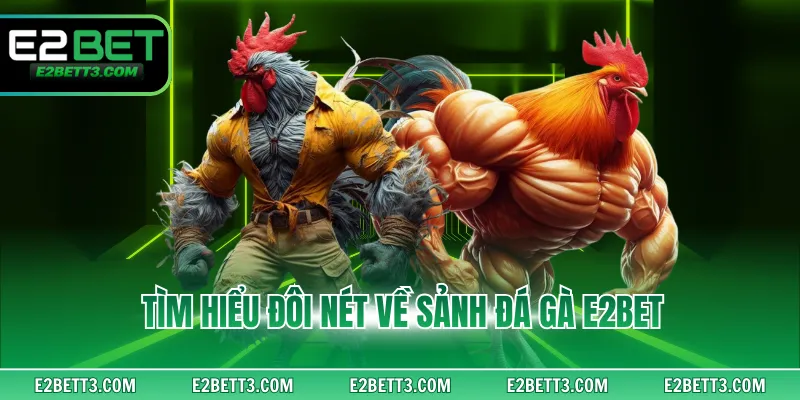 Tìm hiểu đôi nét về sảnh đá gà E2BET